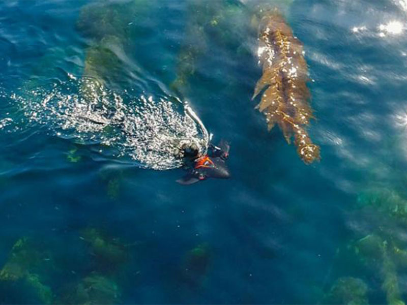 دراجة تمنحك تجربة التنزه بفخامة تحت الماء... AquaJet Dive